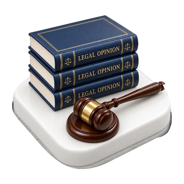 Legal Opinion for Properties